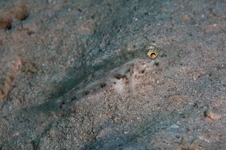 「無題」のサムネイル画像