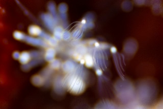 「無題」のサムネイル画像