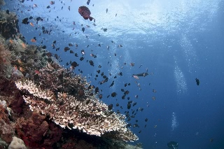 「無題」のサムネイル画像