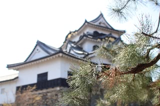 「無題」のサムネイル画像