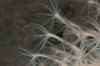 「無題」のサムネイル画像