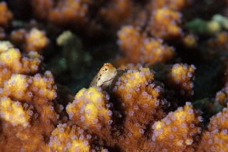 「無題」のサムネイル画像