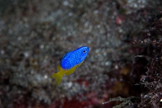 「無題」のサムネイル画像