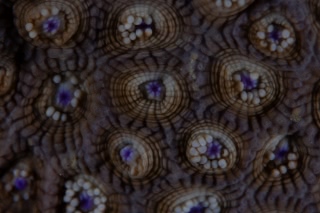 「無題」のサムネイル画像