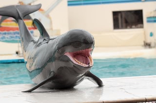 「無題」のサムネイル画像