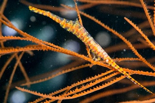 「無題」のサムネイル画像