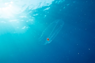 「無題」のサムネイル画像