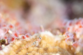 「無題」のサムネイル画像