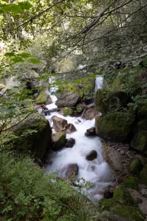 「無名の滝(紅葉滝手前)」のサムネイル画像