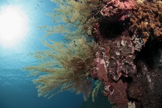 「無題」のサムネイル画像