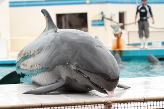 「無題」のサムネイル画像