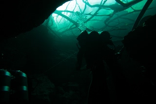 「無題」のサムネイル画像