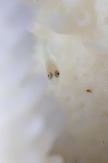 「無題」のサムネイル画像