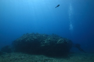 「無題」のサムネイル画像