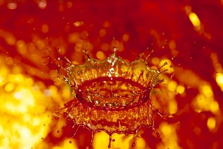 「ウォータークラウン」のサムネイル画像