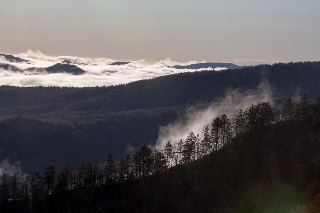 「無題」のサムネイル画像