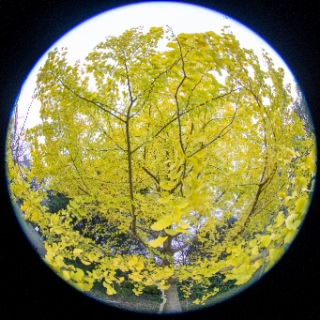 「無題」のサムネイル画像