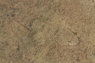 「無題」のサムネイル画像