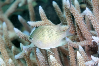 「無題」のサムネイル画像