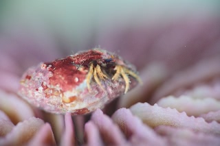 「無題」のサムネイル画像