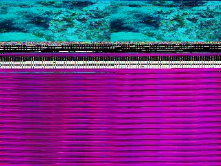 「壁に張り付くダイバーたち」のサムネイル画像