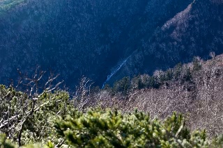 「無題」のサムネイル画像