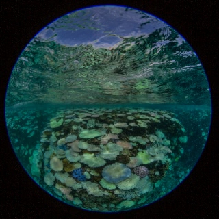 「無題」のサムネイル画像