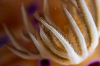 「無題」のサムネイル画像