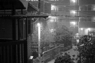 「雪化粧」のサムネイル画像