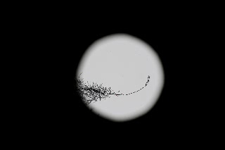 「無題」のサムネイル画像