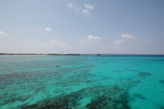 「無題」のサムネイル画像