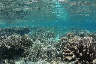 「無題」のサムネイル画像
