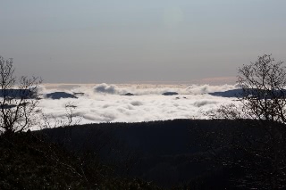 「無題」のサムネイル画像
