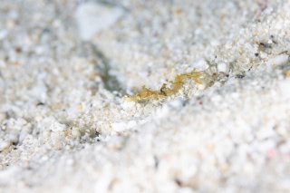 「無題」のサムネイル画像