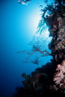 「無題」のサムネイル画像
