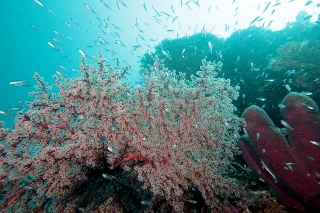 「無題」のサムネイル画像