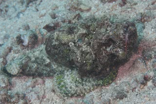 「無題」のサムネイル画像