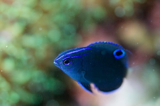 「無題」のサムネイル画像