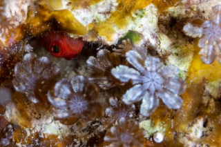 「無題」のサムネイル画像