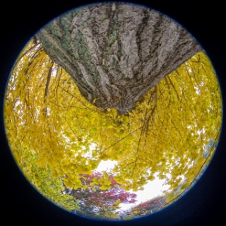 「無題」のサムネイル画像