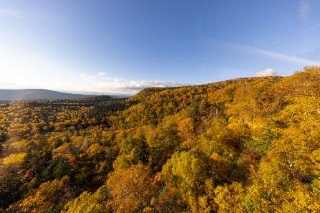 「無題」のサムネイル画像