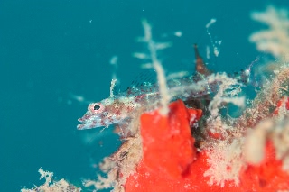 「無題」のサムネイル画像