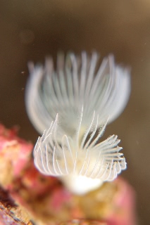 「無題」のサムネイル画像