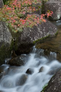 「無題」のサムネイル画像