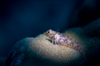 「無題」のサムネイル画像