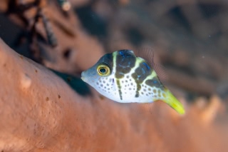 「無題」のサムネイル画像