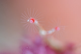 「無題」のサムネイル画像