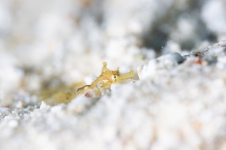 「無題」のサムネイル画像