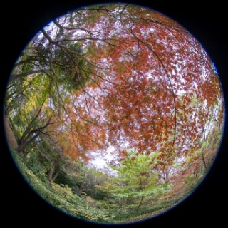 「無題」のサムネイル画像