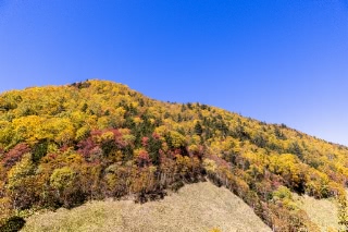 「無題」のサムネイル画像